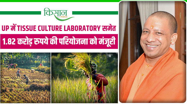 यूपी सरकार का तोहफा: कृषि क्षेत्र की मज़बूती के लिए 286.46 करोड़ रुपये की राशि मंज़ूर