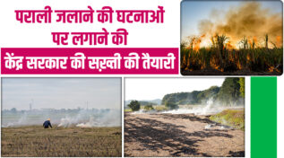 पराली जलाने पर केंद्र सख़्त: ज़मीन के रिकॉर्ड में 15 महीने तक दर्ज रहेगा नाम, दोबारा जलाने पर और कड़ी कार्रवाई!
