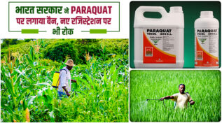 भारत सरकार का बड़ा कदम: 'Paraquat Dichloride' पर लगाया बैन, नए रजिस्ट्रेशन पर तुरंत रोक