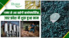 उत्तर प्रदेश में भारत का पहला Biopolymer Plant : गन्ने से बनेगा पर्यावरण का भविष्य!