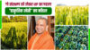 यूपी सरकार का नया 'आत्मनिर्भरता मॉडल', ललितपुर बनेगा प्रदेश का पहला प्राकृतिक खेती ज़िला