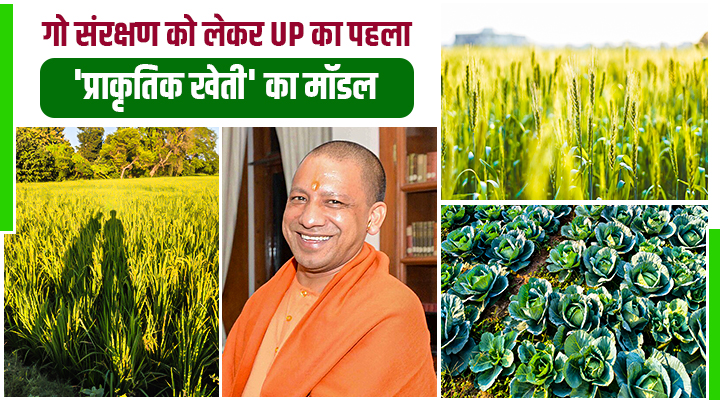 यूपी सरकार का नया 'आत्मनिर्भरता मॉडल', ललितपुर बनेगा प्रदेश का पहला प्राकृतिक खेती ज़िला