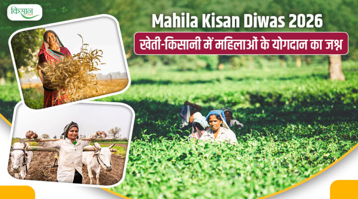 Mahila Kisan Diwas 2026: 59.8 फीसदी शक्ति जो है भारतीय कृषि का असली चेहरा, अन्न से अधिकार तक का सफ़र