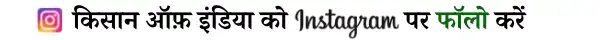 Great Indian Bustard को जंगल में मिली नई उड़ान, जैसलमेर में 2 नर पक्षी छोड़े गए