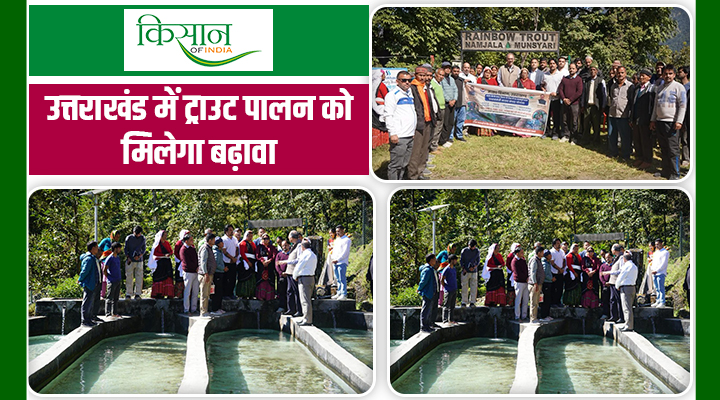 डॉ. अभिलक्ष लिखी